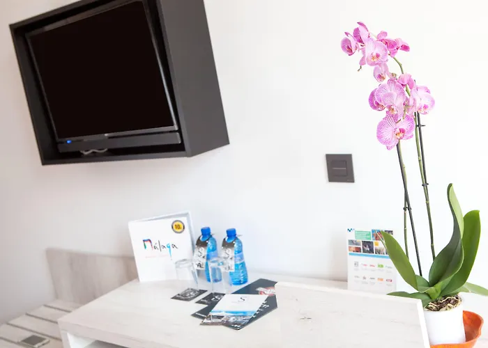 Soho Boutique Bahía 4*